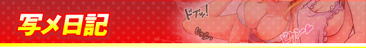写メ日記