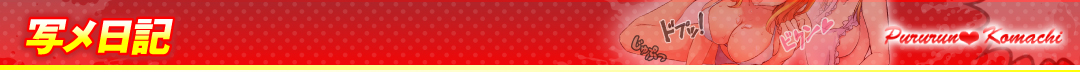 写メ日記